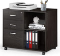 Black Walnut 3 Drawer Wood File Cabinet with Lock I389
