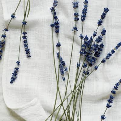 White Lavender Large Candle F468
