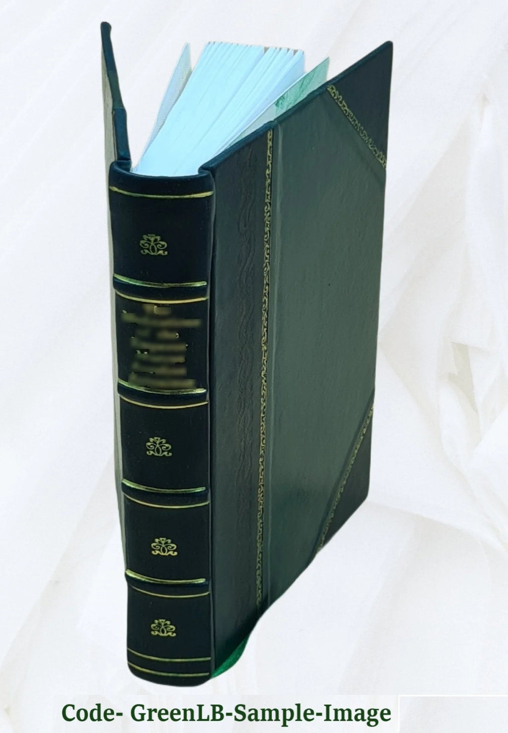 Leather Bound Book J668