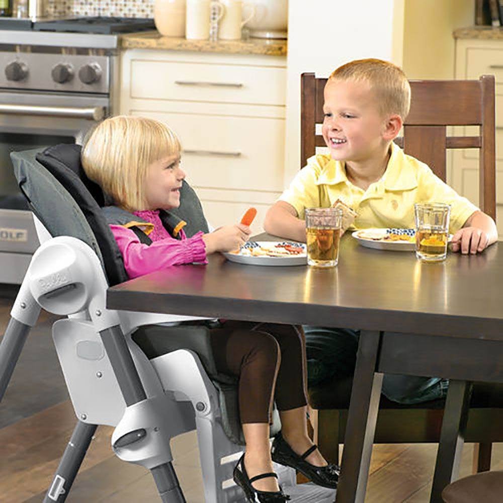 Chicco Polly Highchair V745450