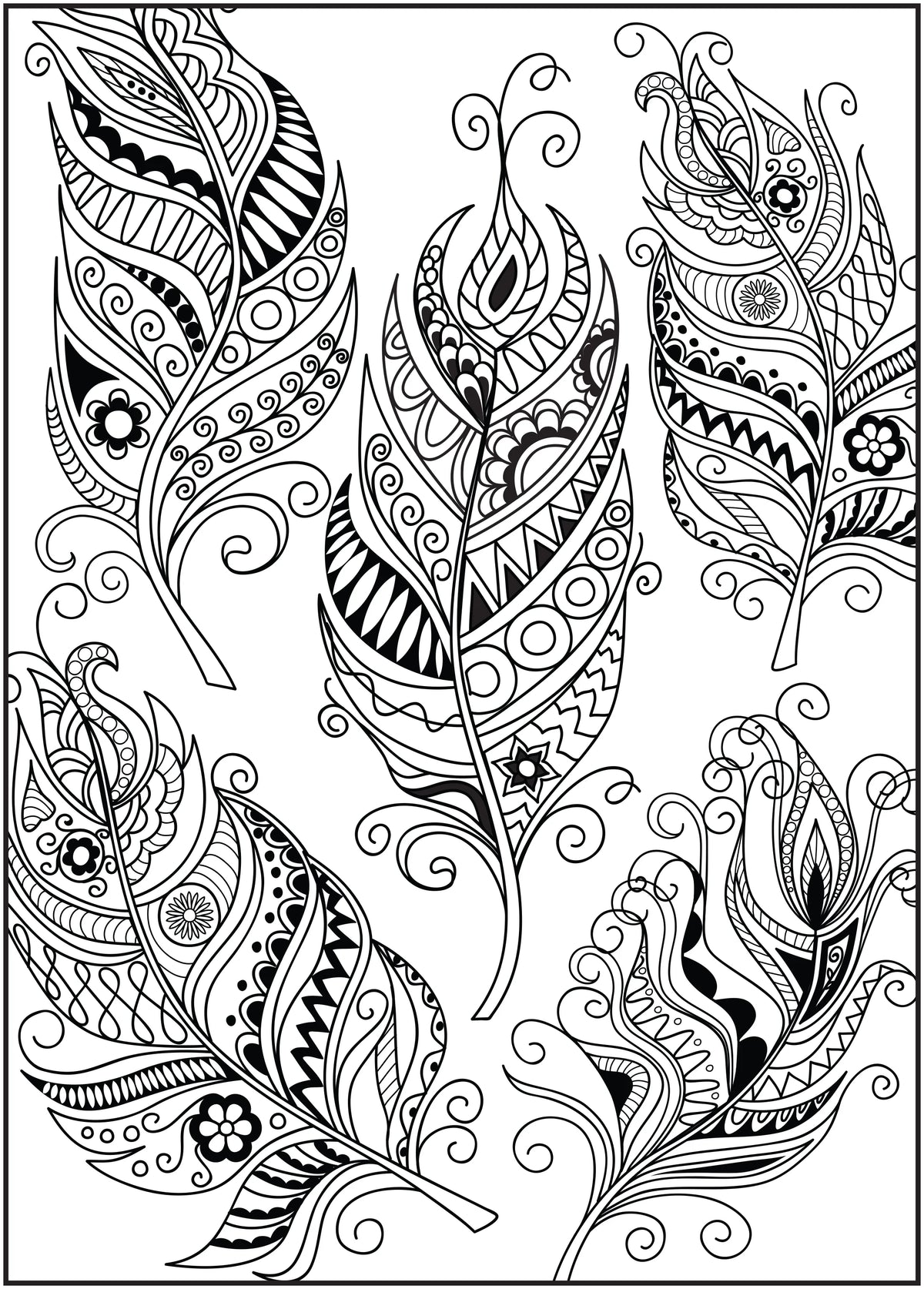64 Pages Adult Coloring Book H778333