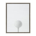 Gray Framed Canvas O906712