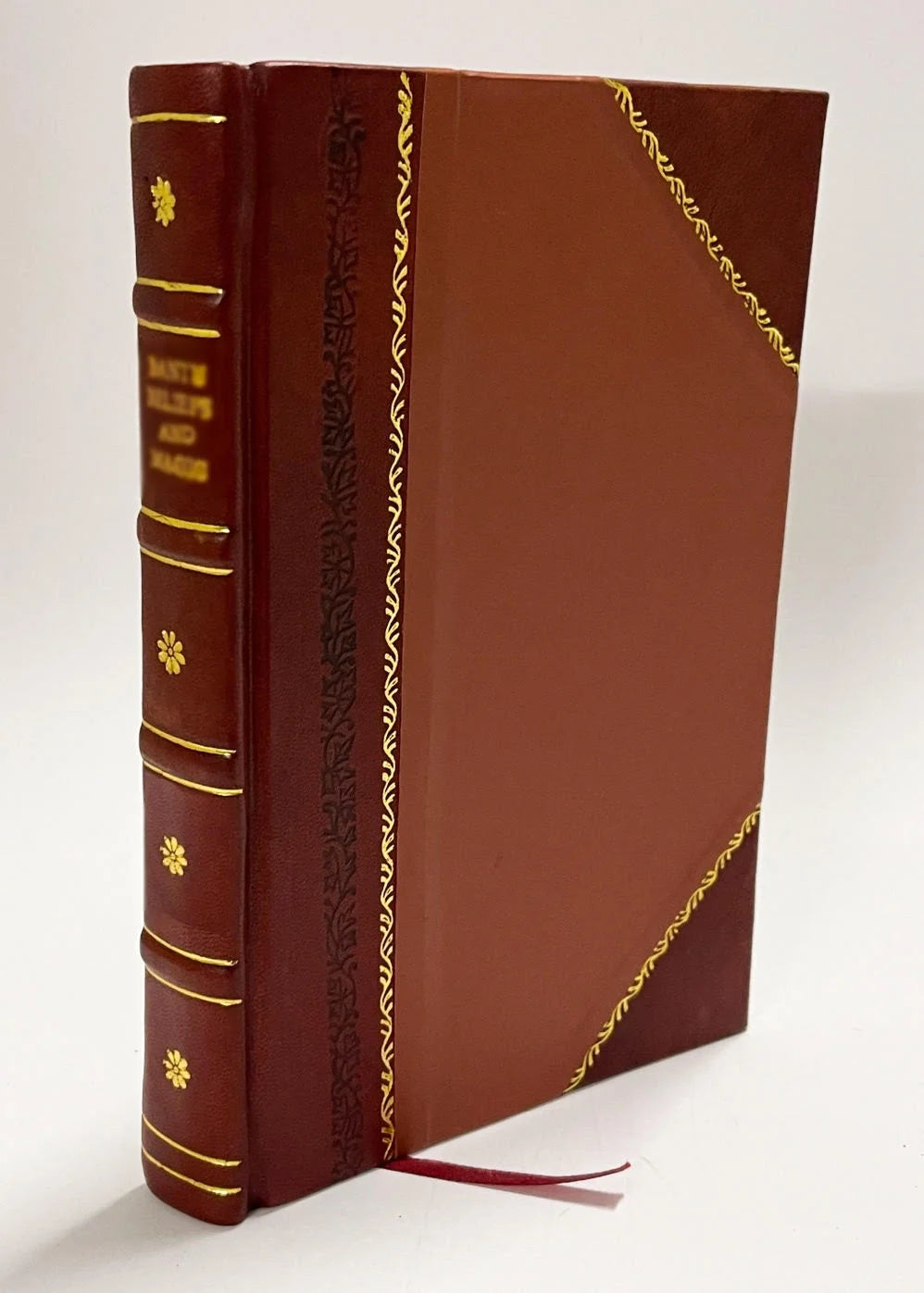 Leather Bound Book N319