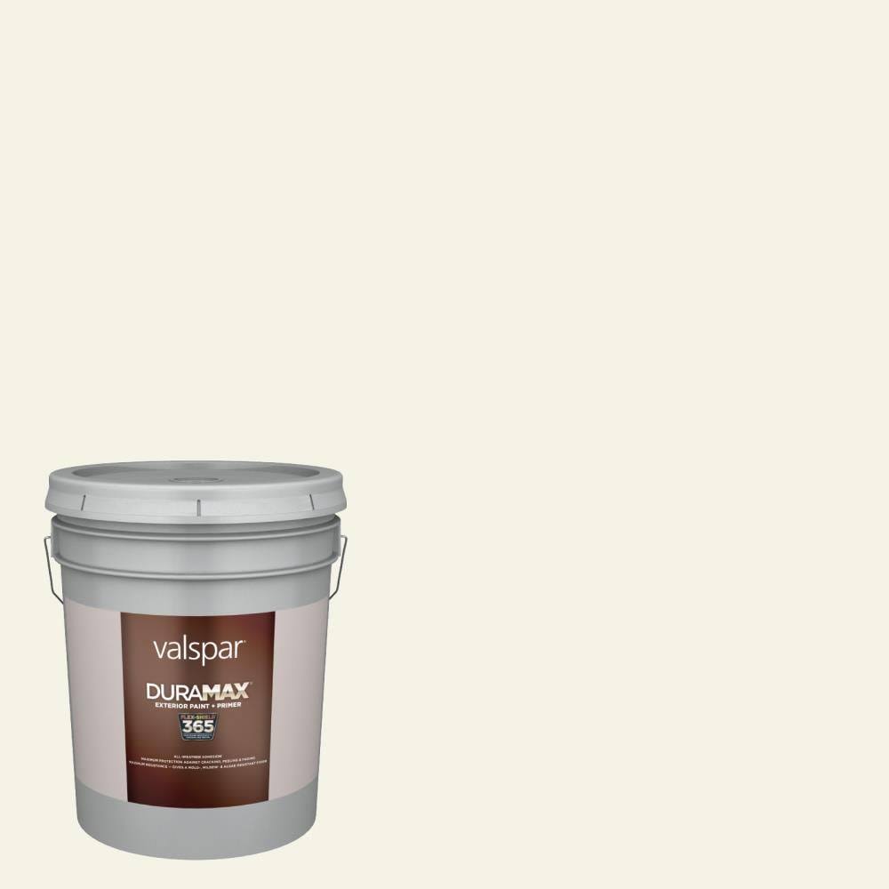 Satin Exterior Paint (5-Gallon) B509872