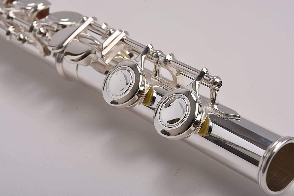 SOLID NICKEL-SILVER Flute Complete Set with Shoulder Carry Case, Cleaning Rod, Tenon Protectors W5511