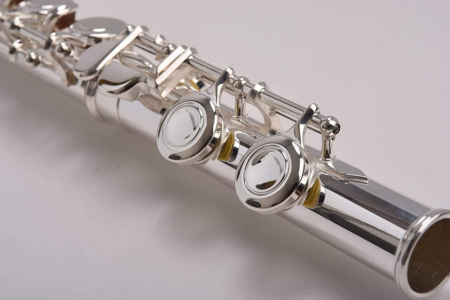 SOLID NICKEL-SILVER Flute Complete Set with Shoulder Carry Case, Cleaning Rod, Tenon Protectors W5511