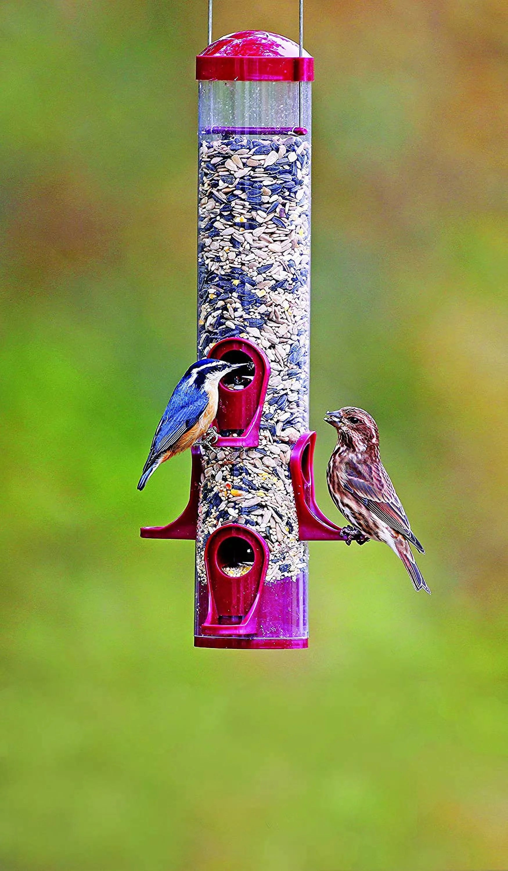 Wild Bird Feeder, 15 in H, 1 qt F991751