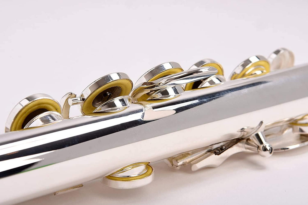 SOLID NICKEL-SILVER Flute Complete Set with Shoulder Carry Case, Cleaning Rod, Tenon Protectors W5511