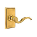 French Antique Brass Privacy Lever with Rectangular Rose U170629