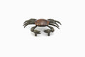 Tiger Penshell Pull R94239