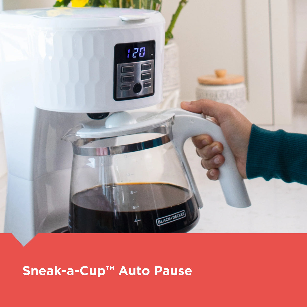 White 12 Cup Coffee Maker K53024