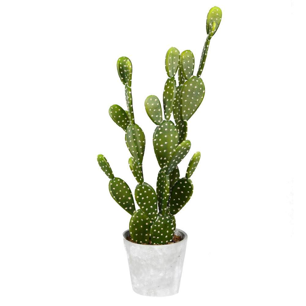 Potted Cactus in Concrete Pot O158
