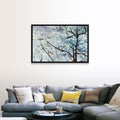 Black Float Frame Canvas Art P46028