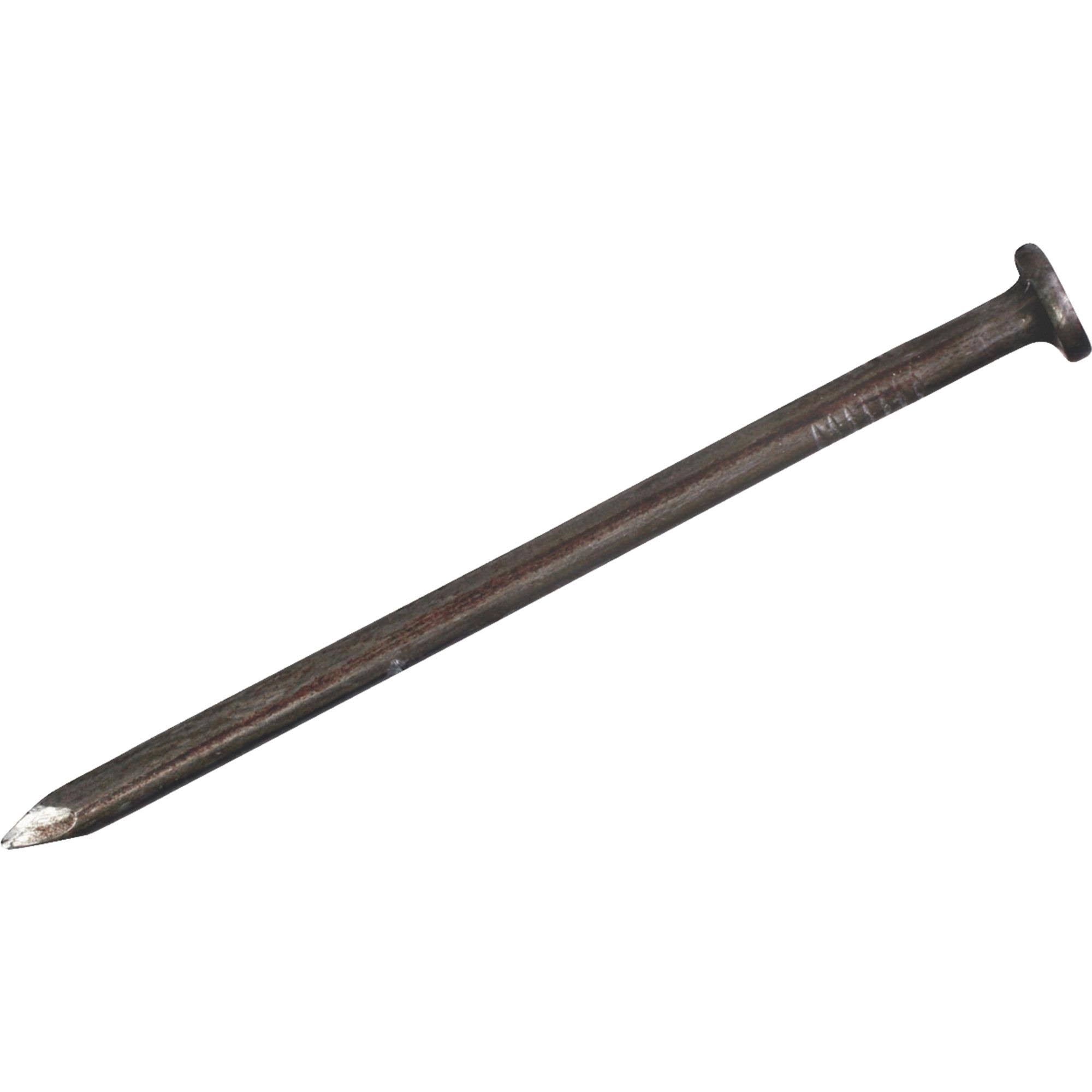 Common Nail X6104