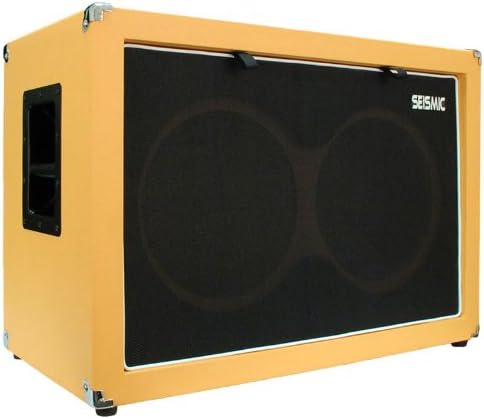 2x12 Speakerless Guitar Cabinet C826