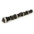 Camshaft FW 282s-10 R50503