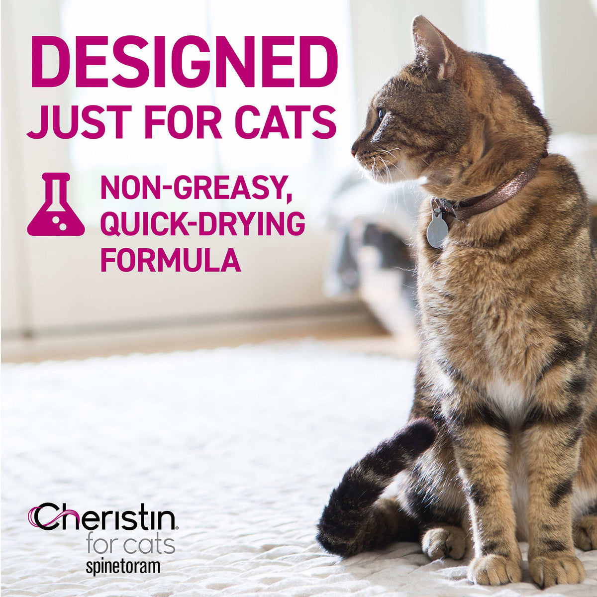 12 Pack 12 ct Flea Treatment for Cats X843