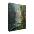 Framed Photograph Print E74445