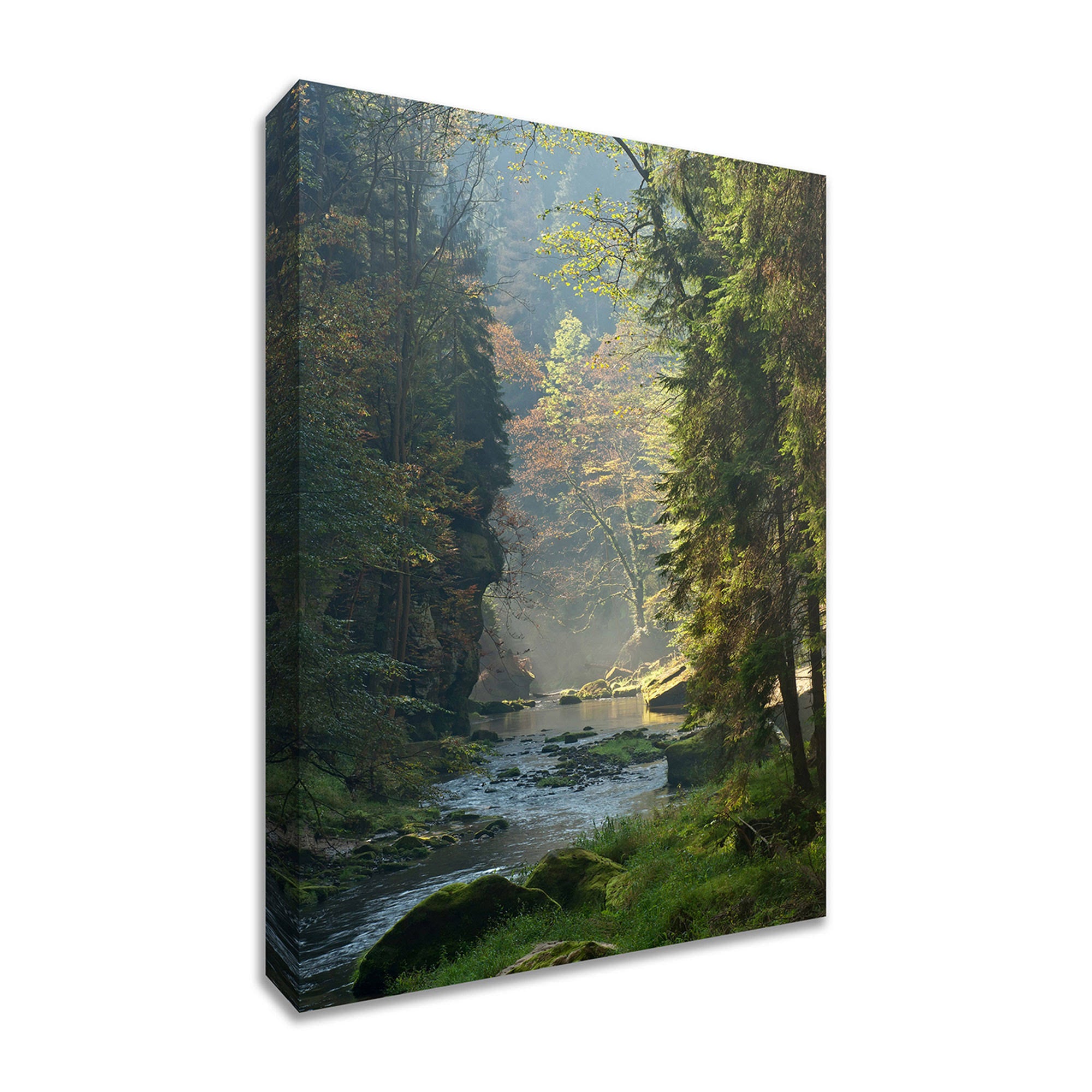 Framed Photograph Print E74445
