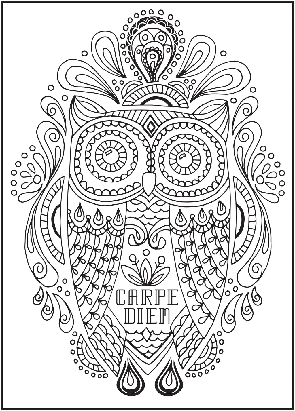 64 Pages Adult Coloring Book H778333