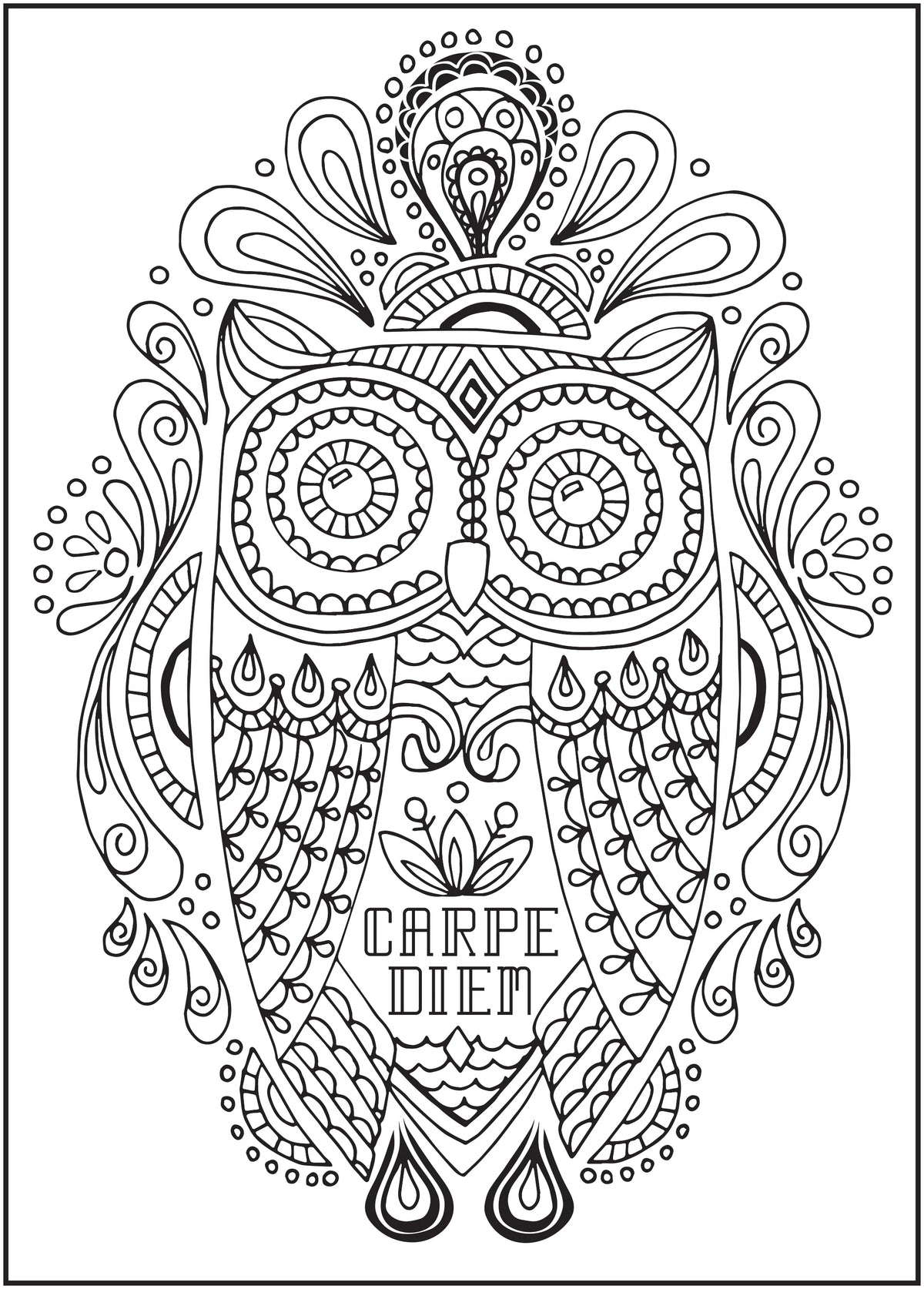 64 Pages Adult Coloring Book H778333