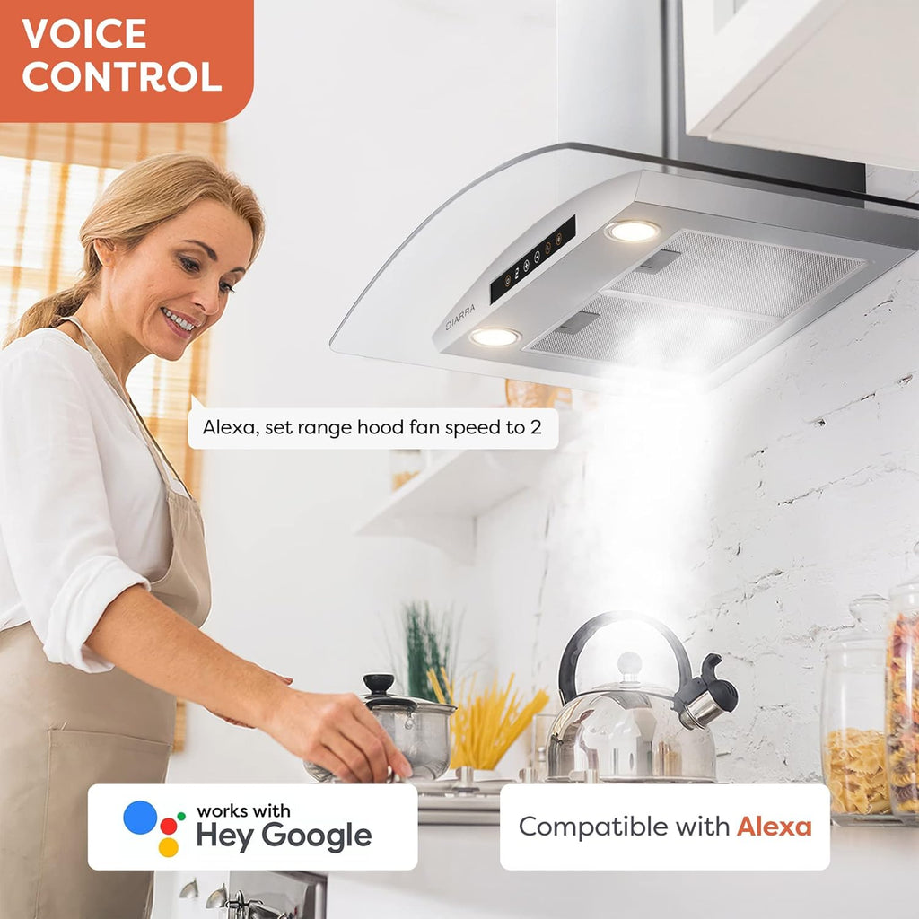 30 inch Wall Mount Stainless Steel Range Hood A412619