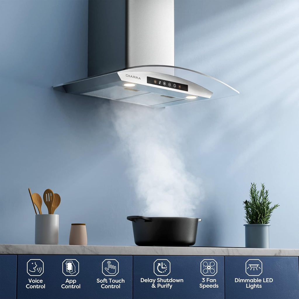 30 inch Wall Mount Stainless Steel Range Hood A412619