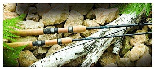 Spinning Rod F125343