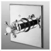 Polished Brass Thermostatic Trim Plate with Handle C819898