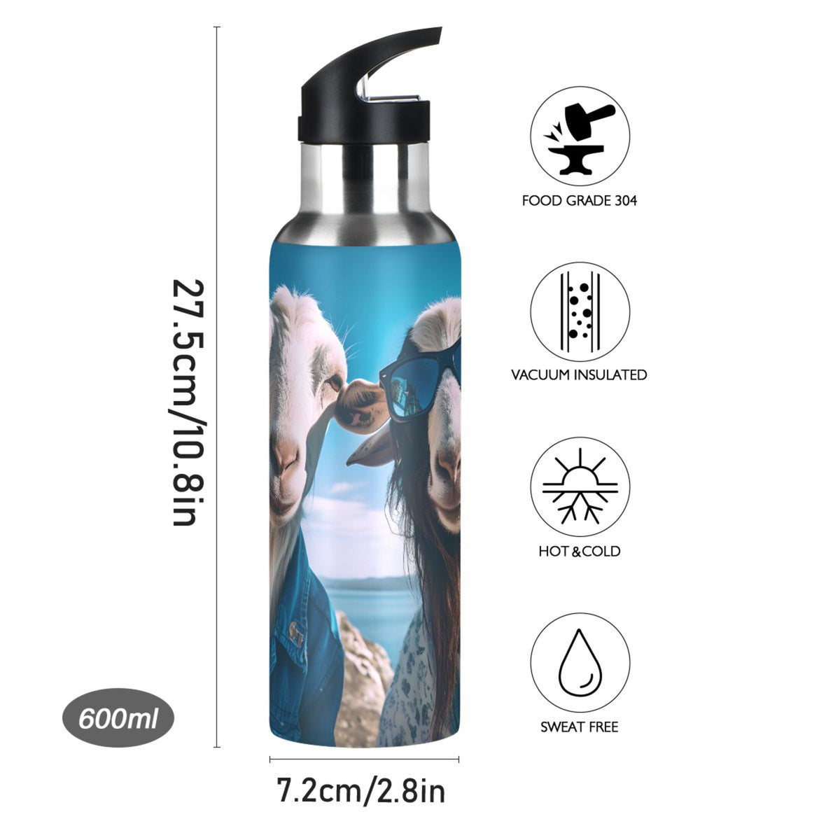20 oz Insulated Stainless Steel Water Bottle with Straw Lid B948
