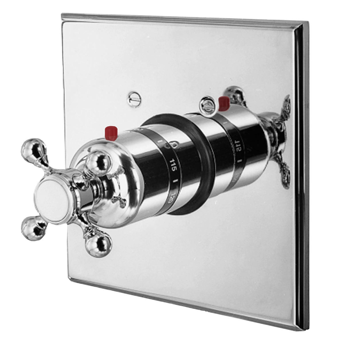 Polished Brass Thermostatic Trim Plate with Handle C819898