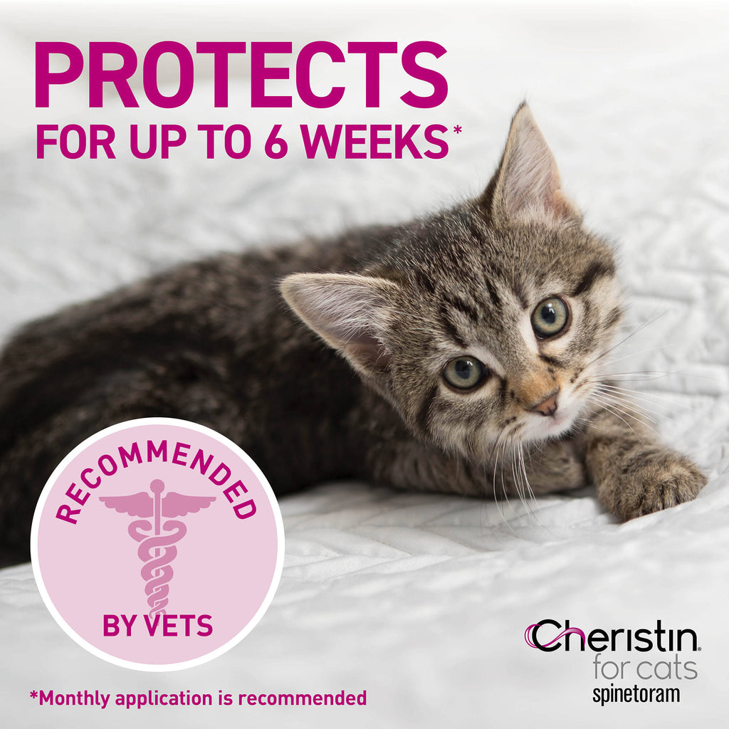 12 Pack 12 ct Flea Treatment for Cats X843