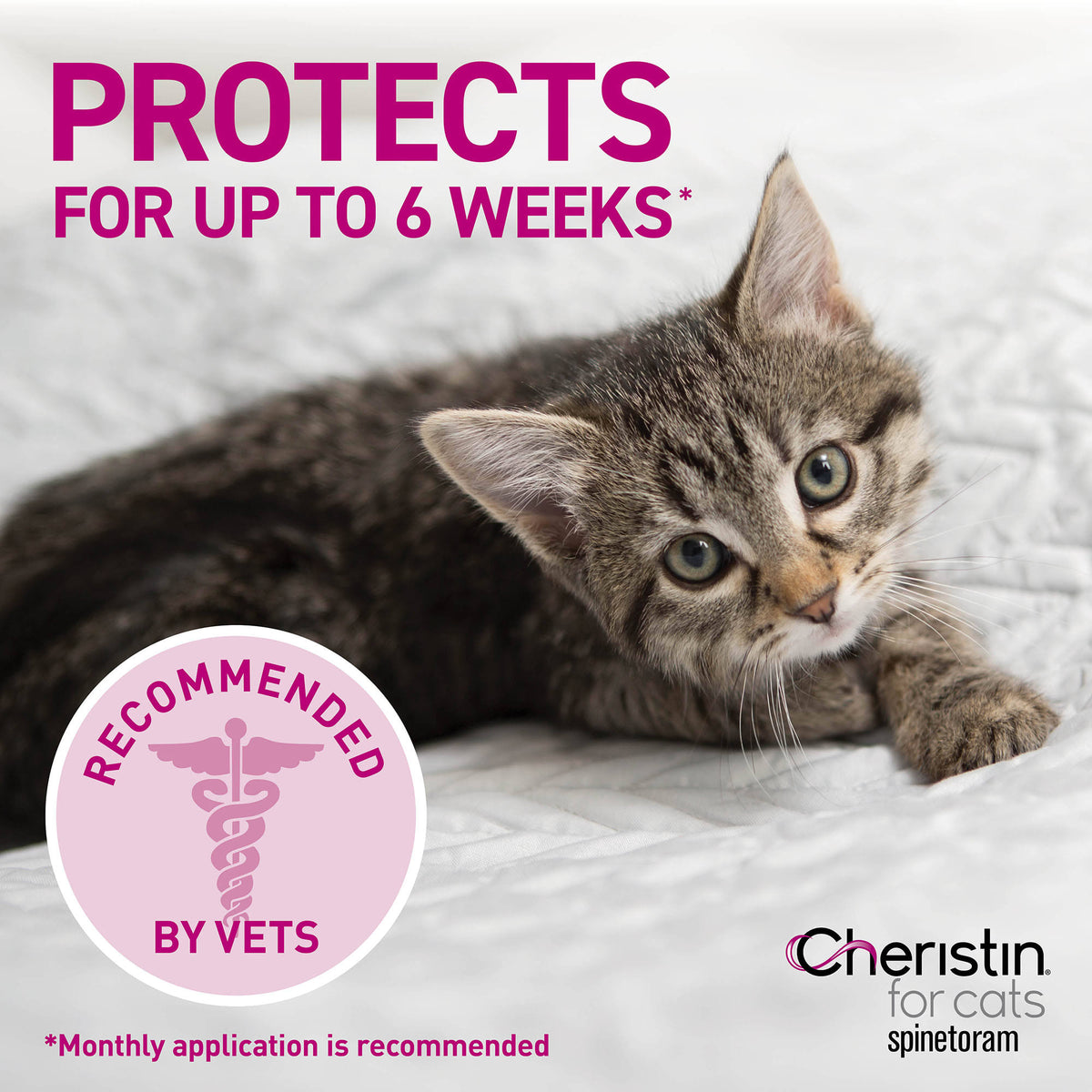 12 Pack 12 ct Flea Treatment for Cats X843