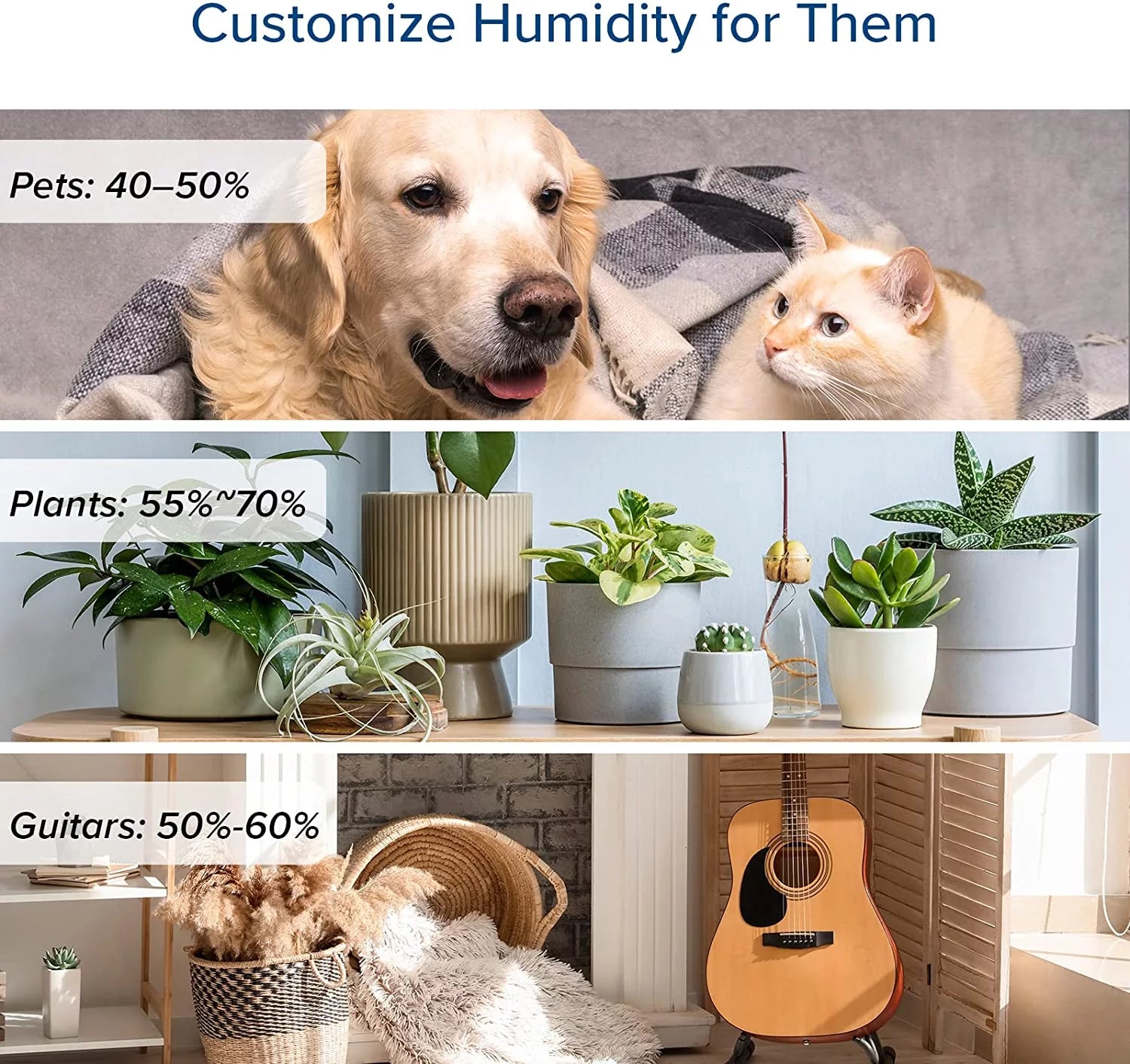 6L Warm and Cool Mist Humidifier W4018