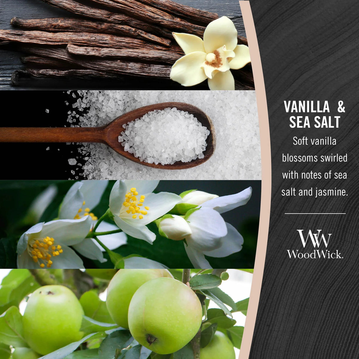 Vanilla Sea Salt Ellipse Candle N293997
