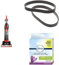 Bagless Vacuum with Large Capacity Dirt Tank C258