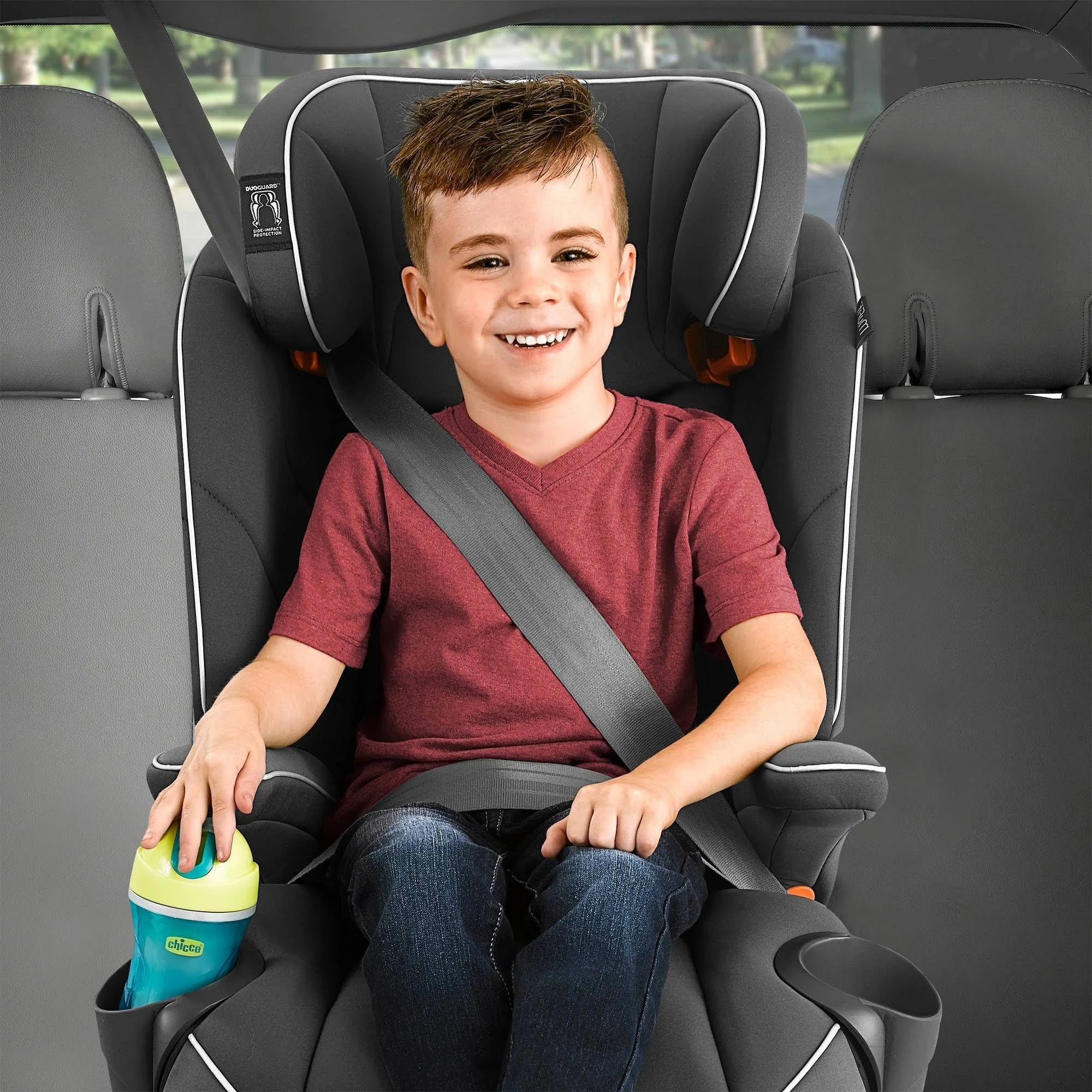 Indigo Harness + Booster Car Seat O49765