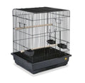 Black Wire Bird Cage with Cup Dish and Perch T982618