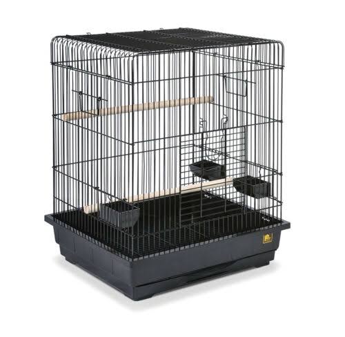 Black Wire Bird Cage with Cup Dish and Perch T982618