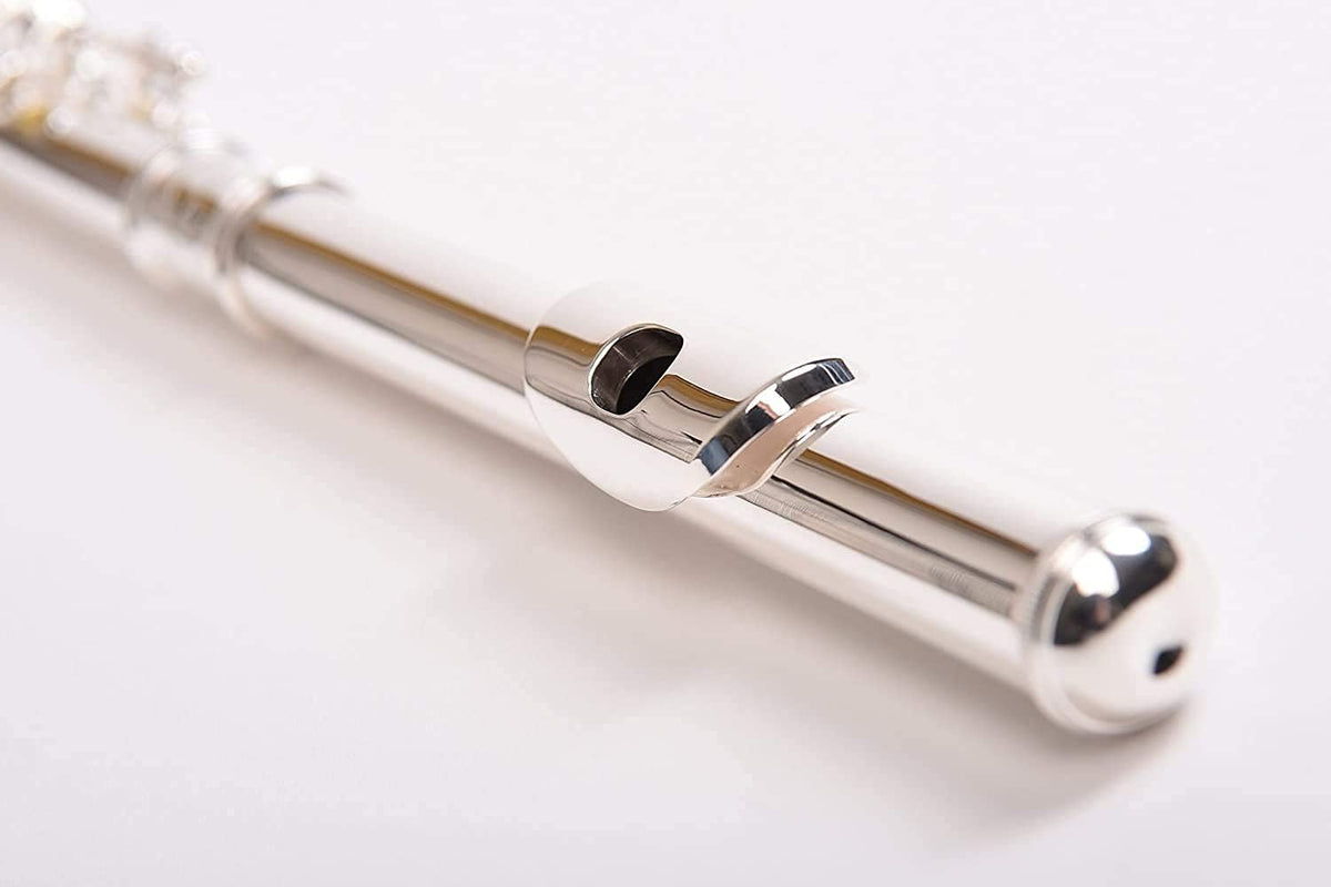 SOLID NICKEL-SILVER Flute Complete Set with Shoulder Carry Case, Cleaning Rod, Tenon Protectors W5511