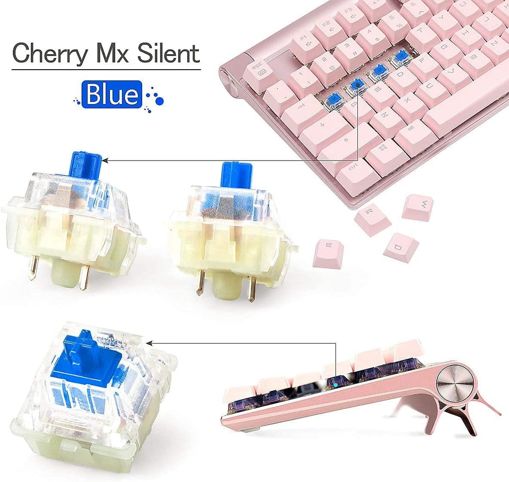 Cherry MX Speed Silver Switch 65 PCS Mechanical Keyboard Switch R396