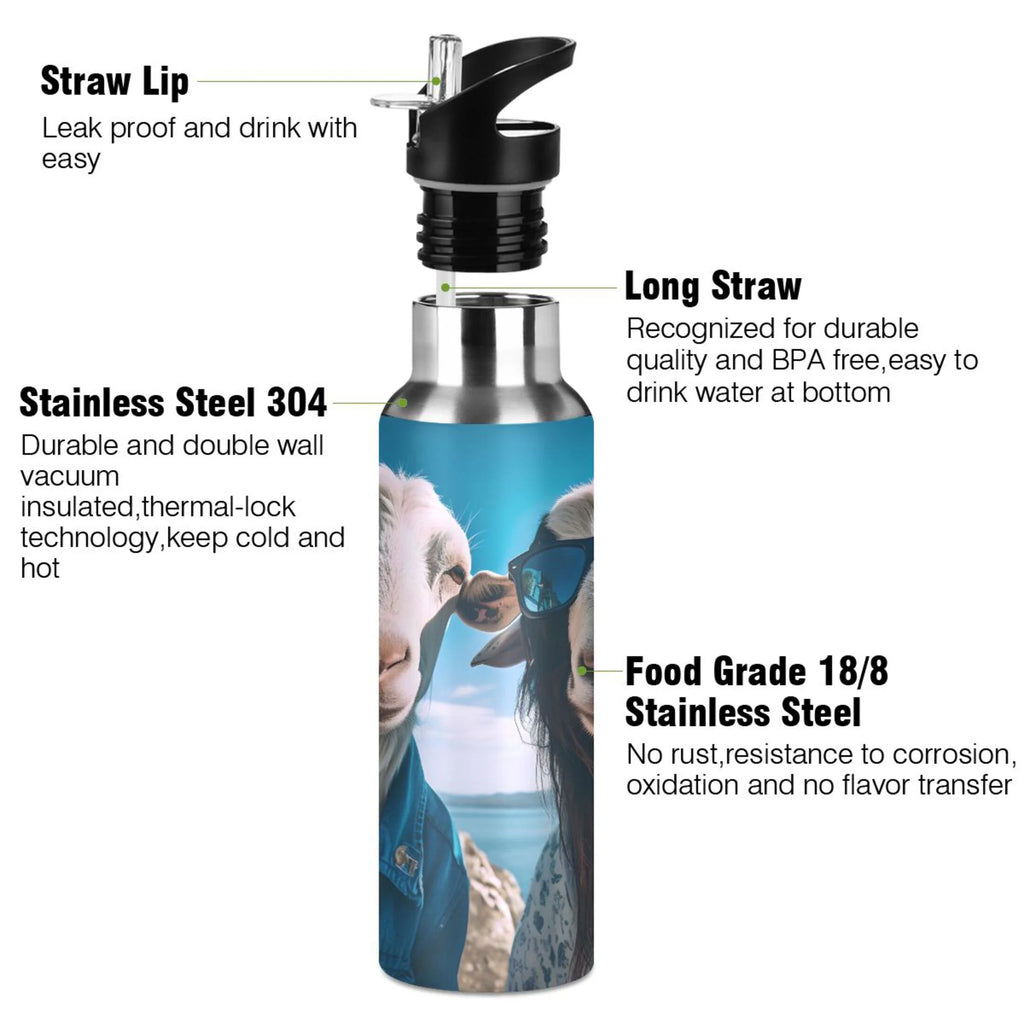20 oz Insulated Stainless Steel Water Bottle with Straw Lid B948