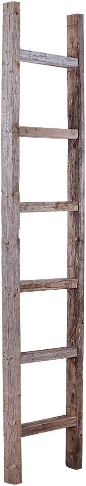 Rustic Farmhouse Decorative Ladder Brown H462