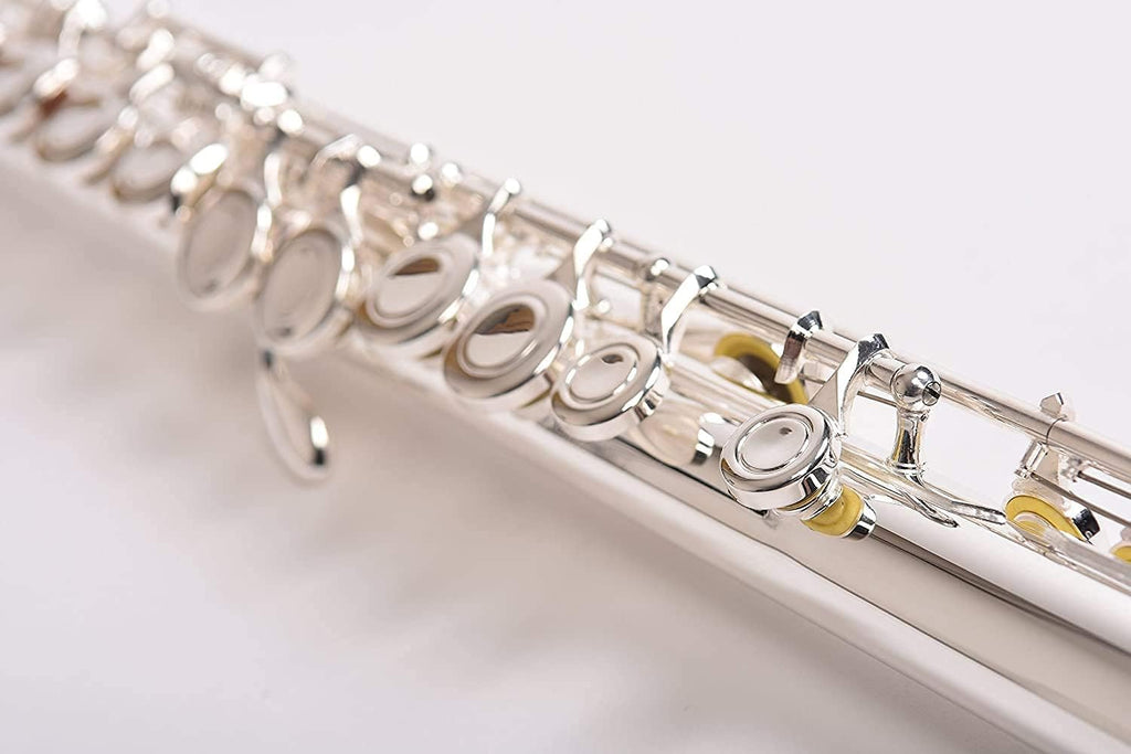 SOLID NICKEL-SILVER Flute Complete Set with Shoulder Carry Case, Cleaning Rod, Tenon Protectors W5511