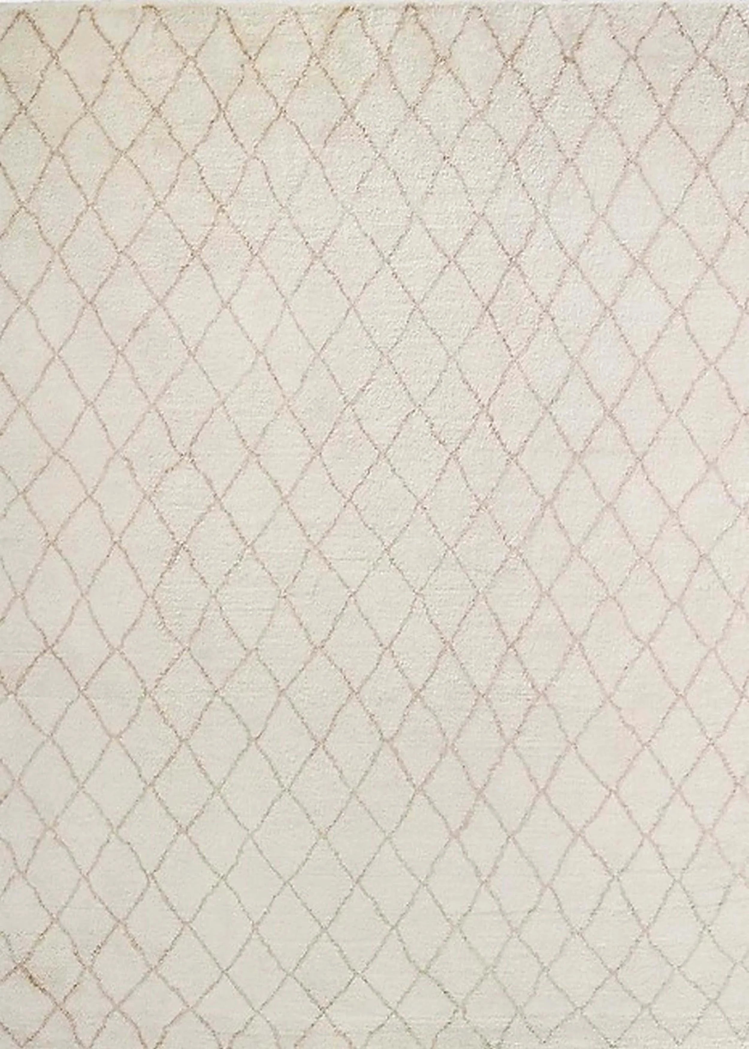 Desert Sand Beige Rectangle Oriental Area Rug, 2' x 5' D503