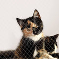 Cat Net Balcony Protection Net 3 x 8 M X9463