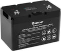 12V 100Ah Smart Lithium-Iron Phosphate Battery with Self-Heating Function S499019