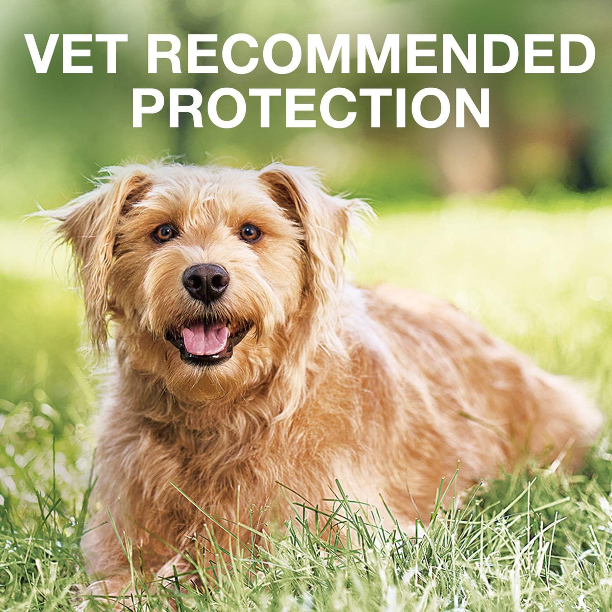 6-Pack Flea and Tick Prevention for Large Dogs M83074