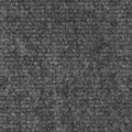 Gray 6 Feet x 15 Feet Indoor Outdoor Carpet with Rubber Backing N809281
