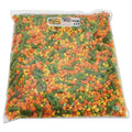 Reclosable Food Storage Bags, 2 gal, Clear, 100/Box V307